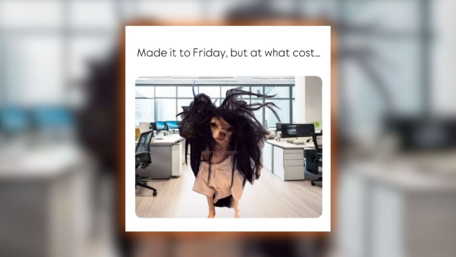 ‘It’s Friday, we’re in love’: 26 weekend memes to kick off your freedom (July 31, 2026)